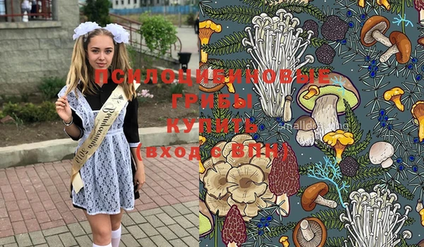 марки nbome Краснослободск