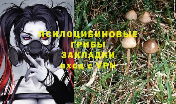 ГАЛЛЮЦИНОГЕННЫЕ ГРИБЫ Краснотурьинск