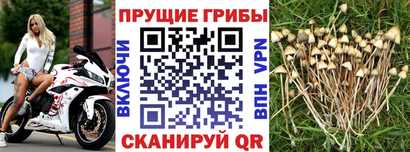 Псилоцибиновые грибы MAGIC MUSHROOMS  Короча 